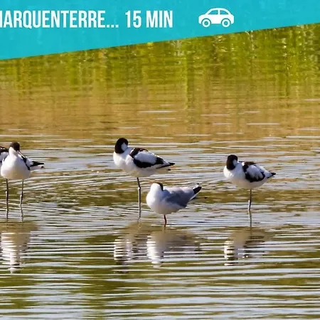Le De La Baie A Velo *