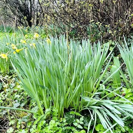 Le De La Baie A Velo * Nouvion-en-Ponthieu